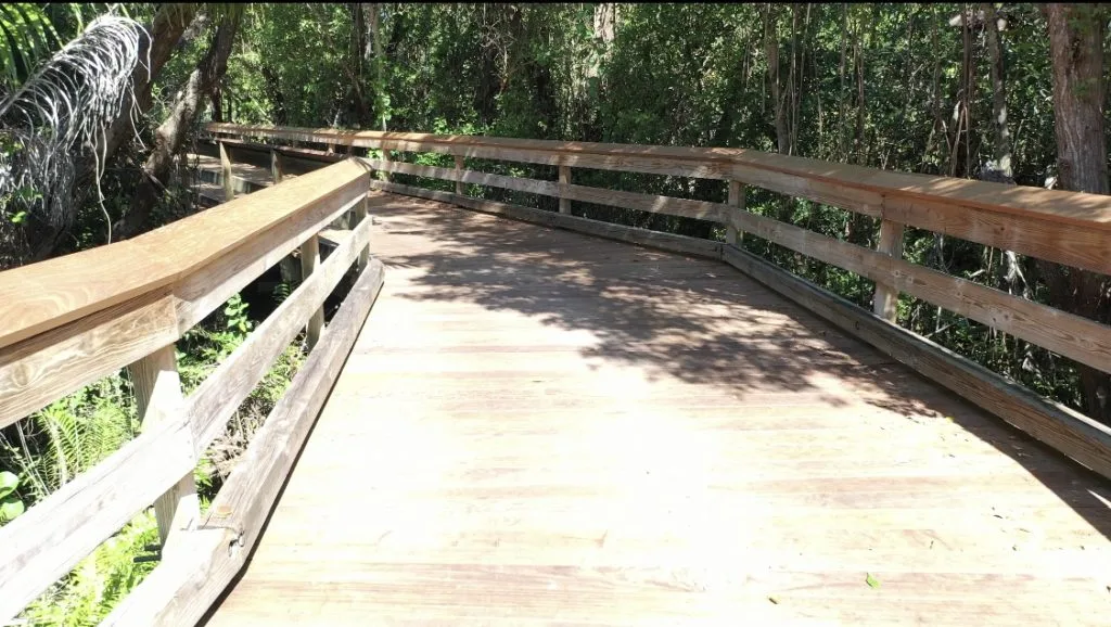 Clam Pass Boardwalk image 9