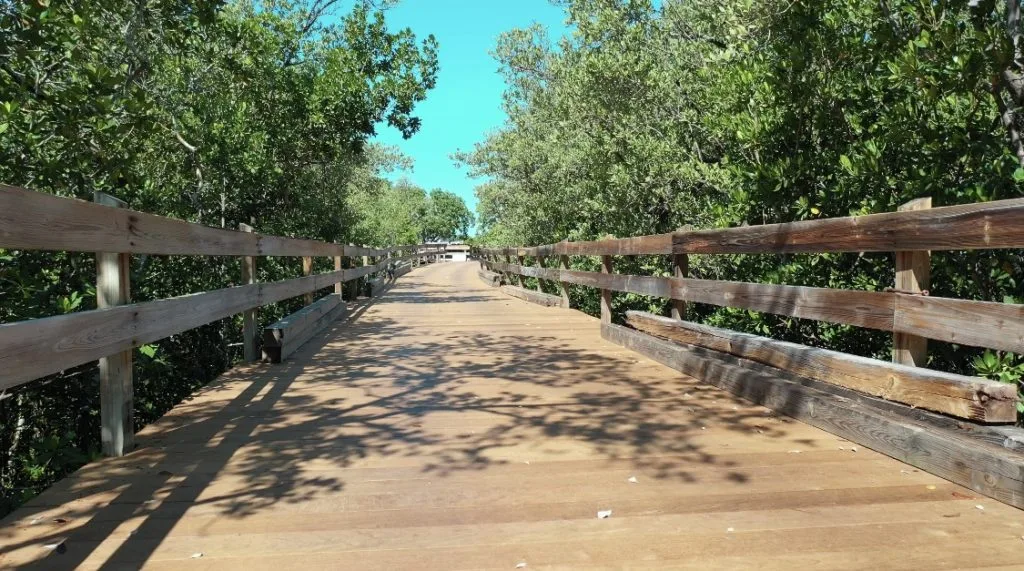 Clam Pass Boardwalk image 8