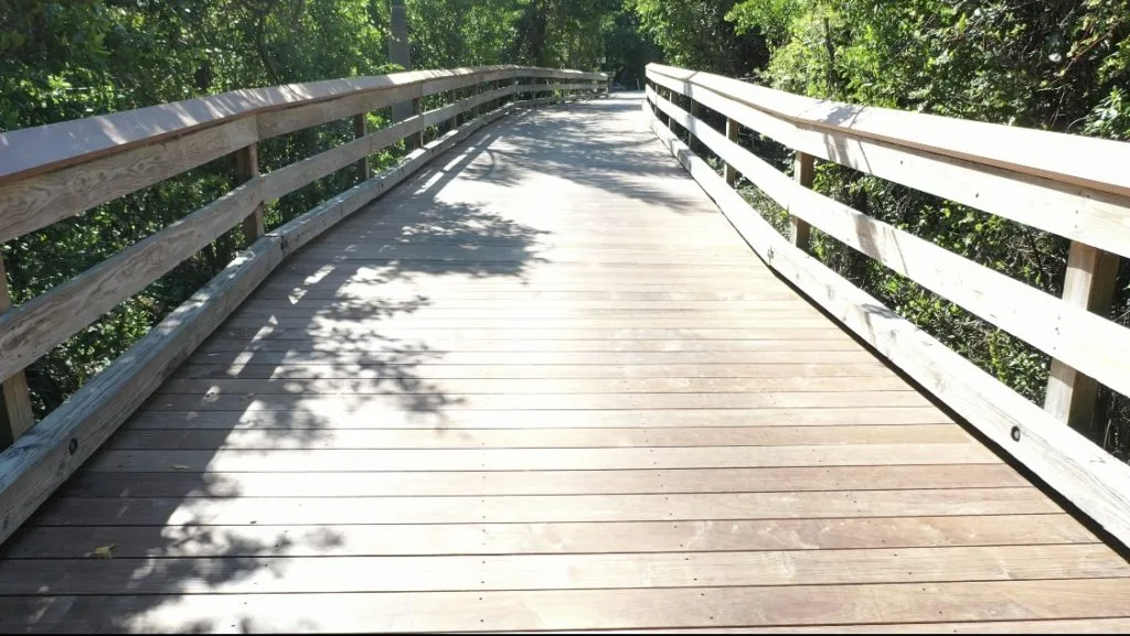 Clam Pass Boardwalk image 10