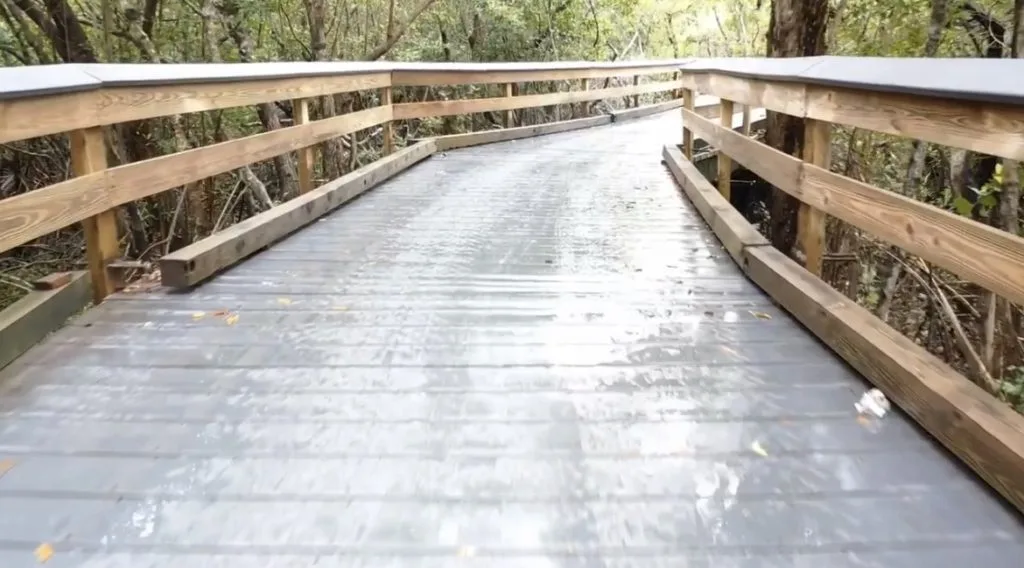 Clam Pass Boardwalk image 3